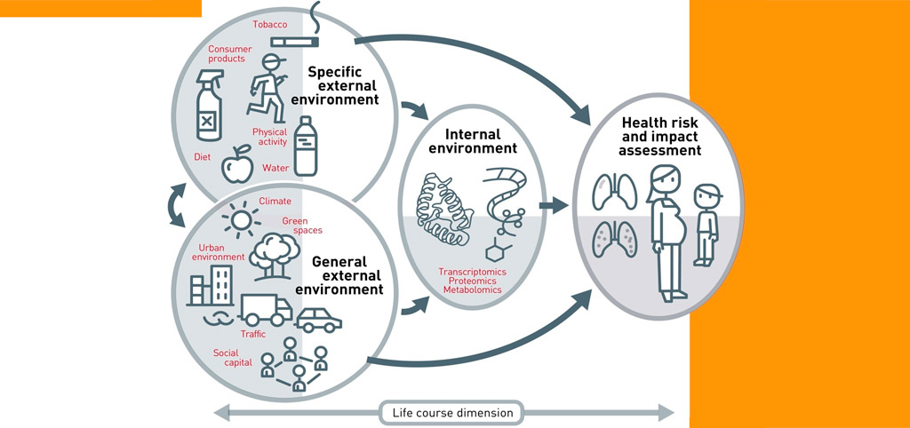 The Exposome: Understanding The Effect Of The Environment On Our Health ...