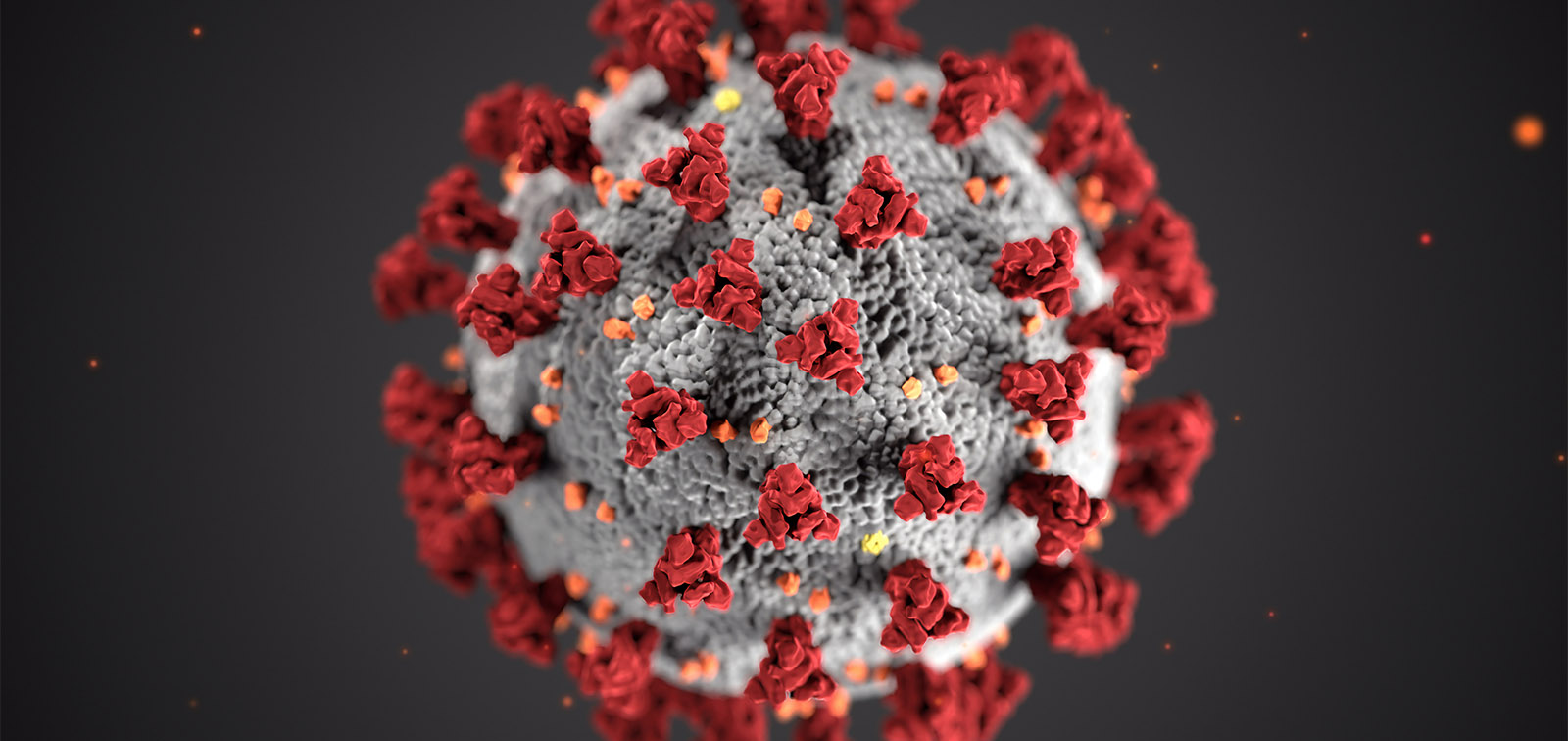 Coronavirus SARS-CoV-2