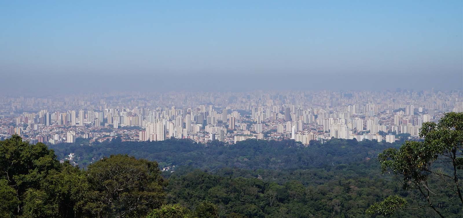How Can the City of Sao Paulo Avoid More than 11,000 Annual Deaths