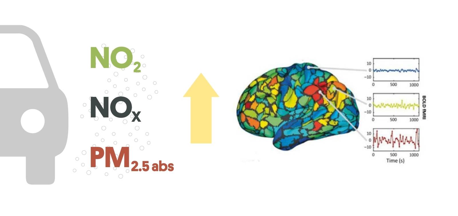 brain connectivity, children, air pollution