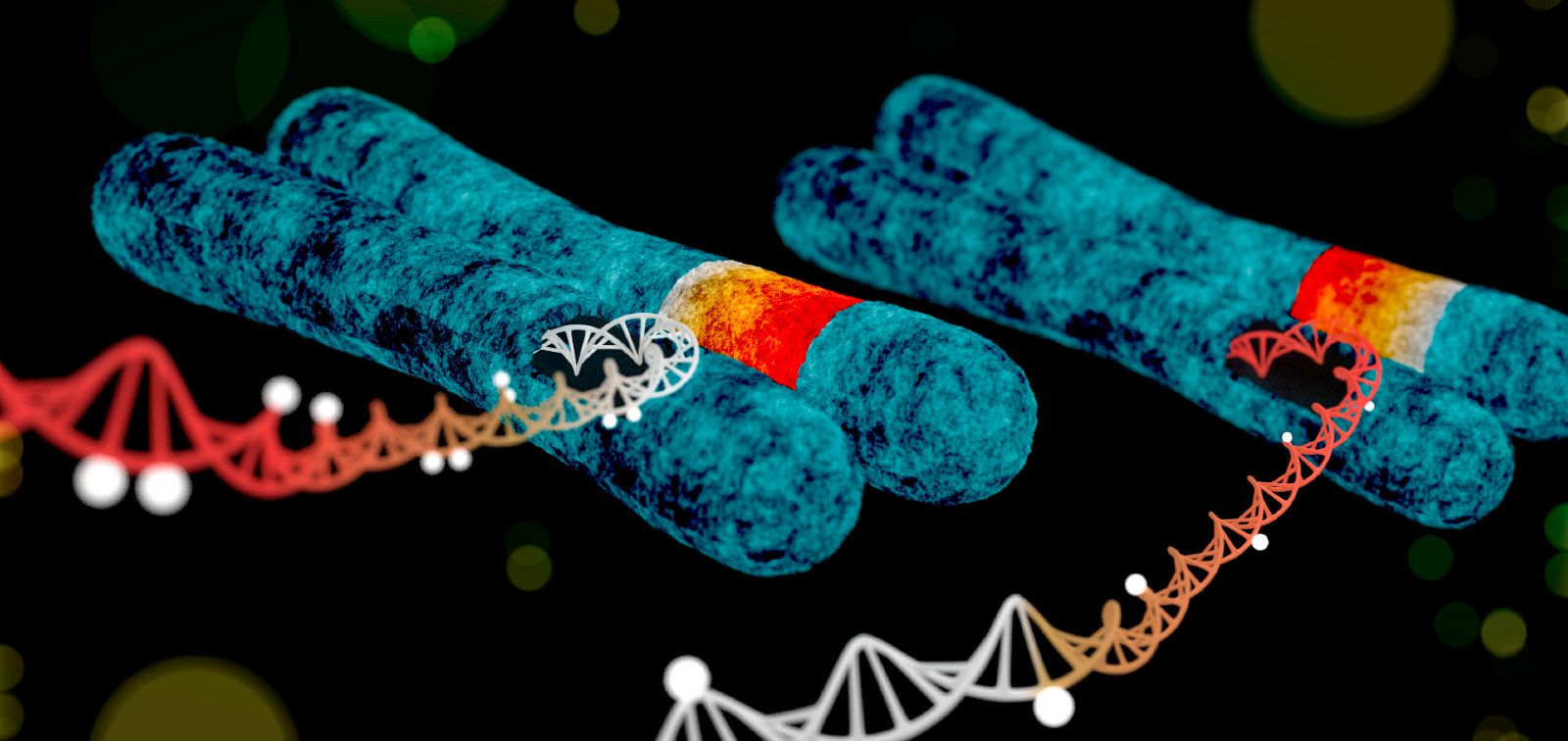 DNA methylation inversions exposome