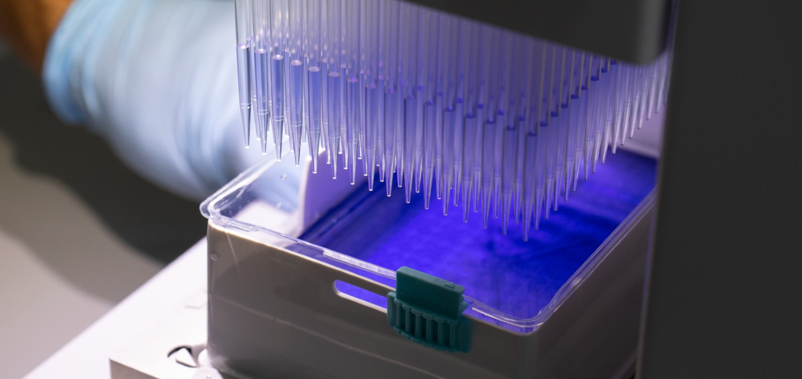 luminex malaria vaccine antibodies