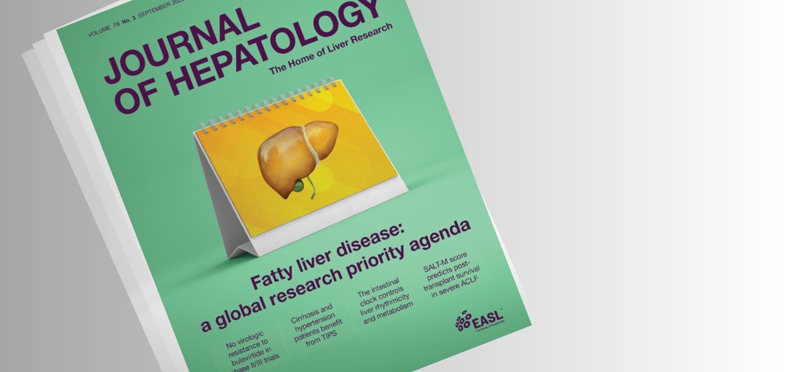 World Experts Set a Global Agenda to Tackle the Growing Burden of Steatotic  Liver Disease - ISGLOBAL