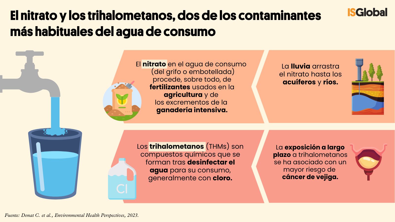 Afecta el cloro del agua del grifo a tus bacterias intestinales?