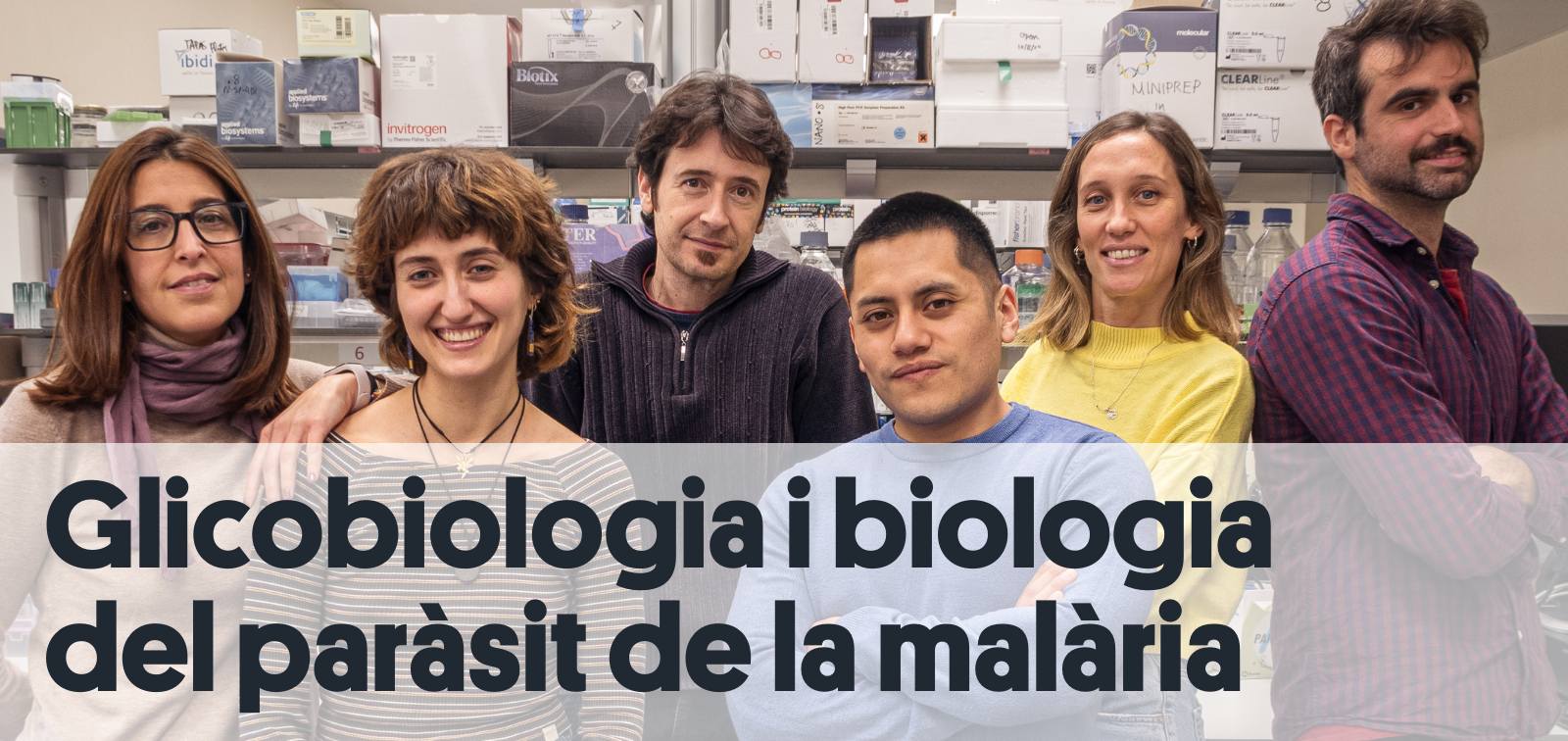 Glycobiology and Malaria Research Group