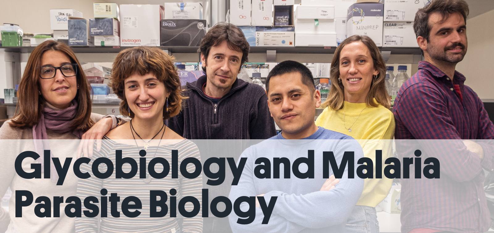 Glycobiology and Malaria Research Group