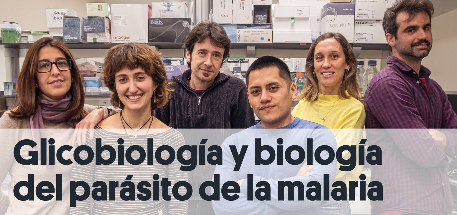 Glycobiology and Malaria Research Group