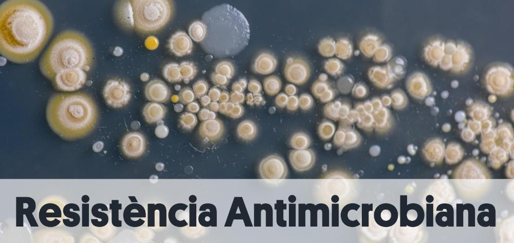 Grup de recerca en Resistències Antimicrobianes d'ISGlobal