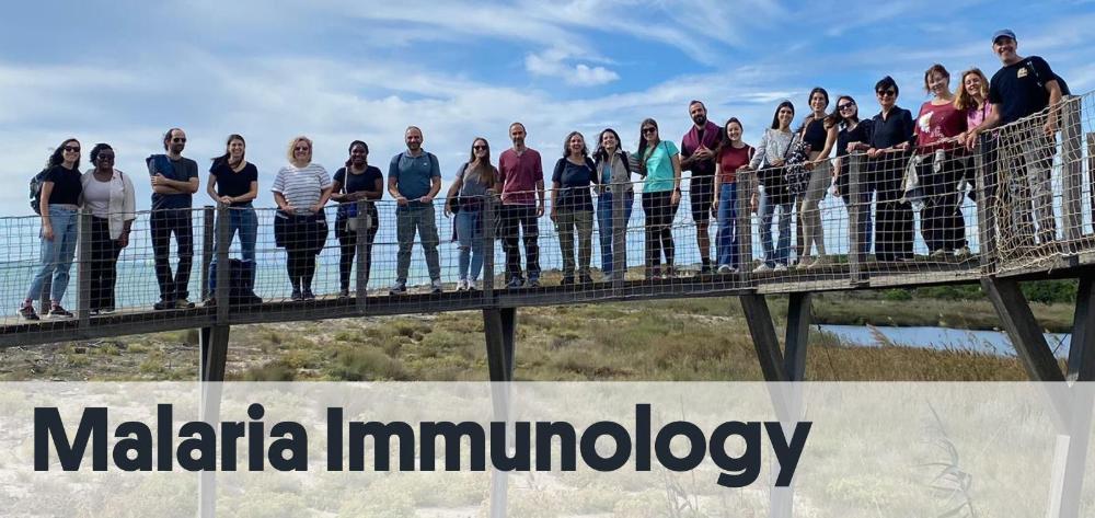 ISGlobal Malaria Immunology Group