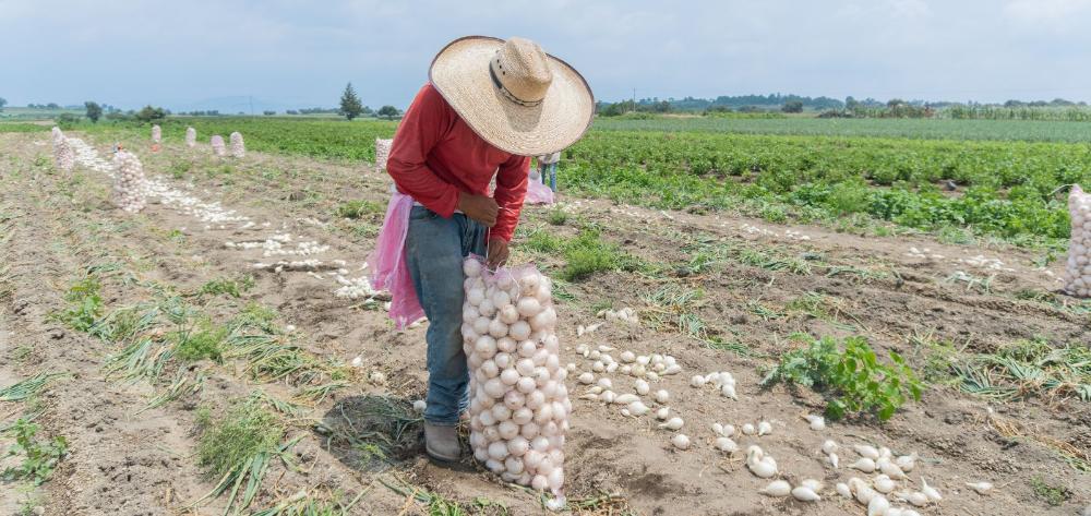 El riesgo de accidentes laborales asociados al calor se ha reducido en España en las últimas décadas