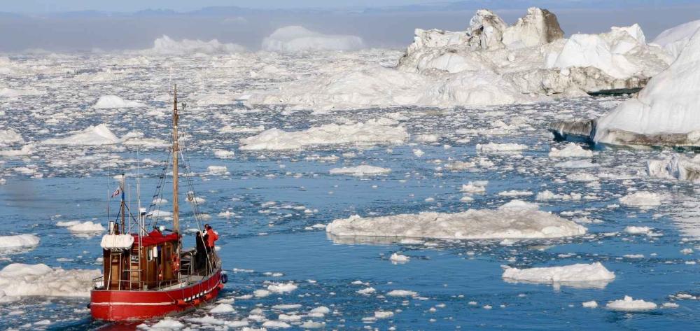 ARCTIC ICE SEA LOSS