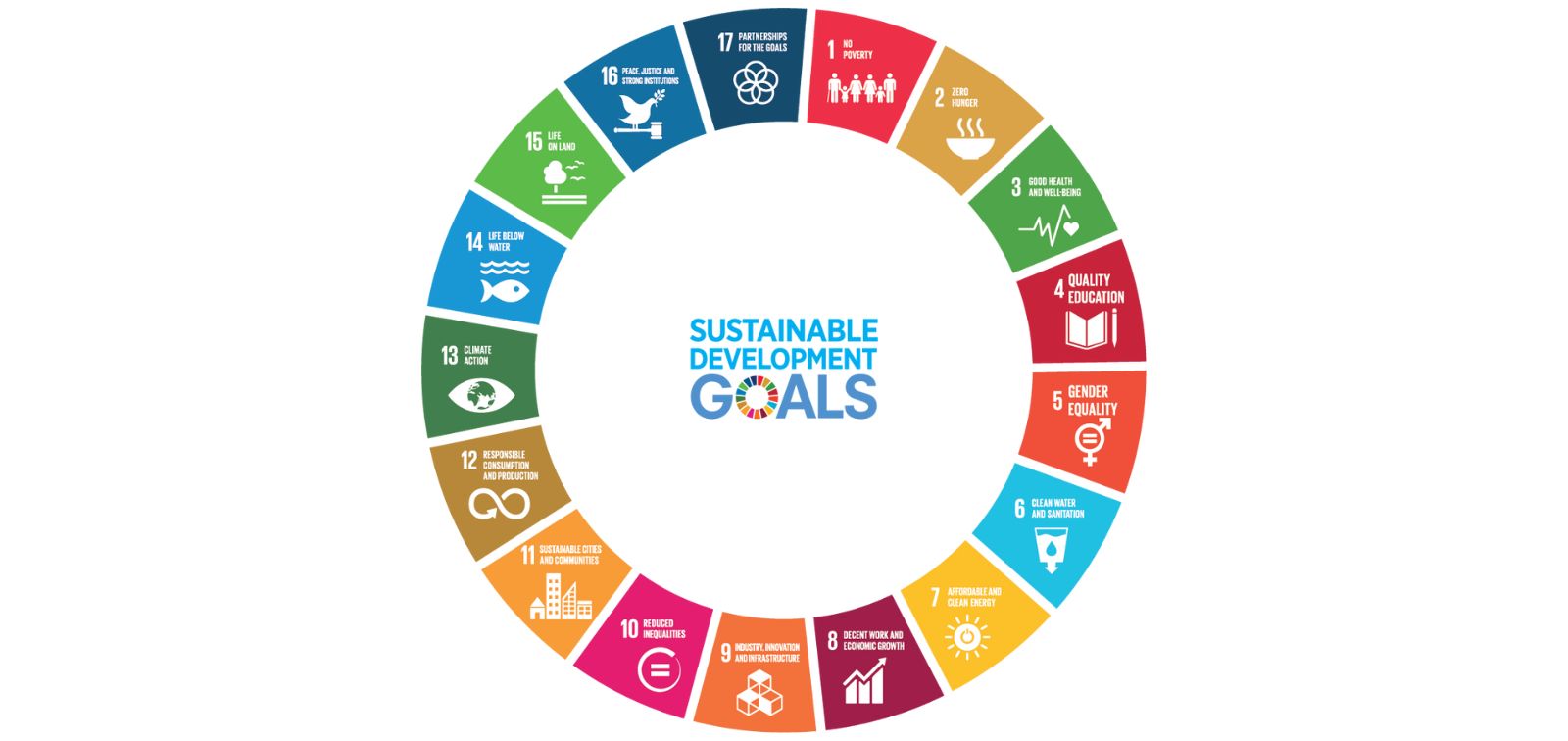 The Sustainable Development Goals SDGs and Global Health