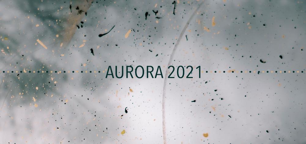 Projecte AURORA 2021