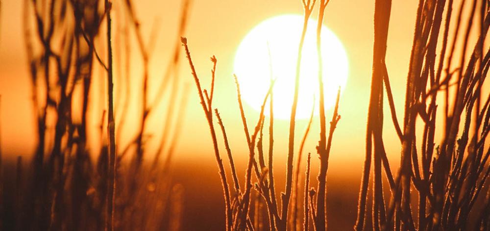 sun heat