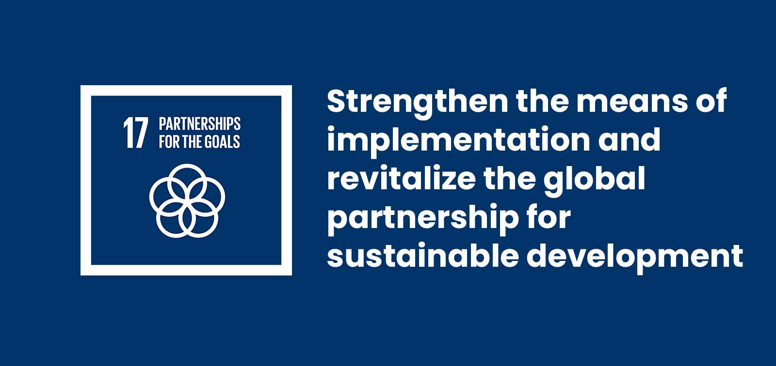 Goal 17: Strengthen the means of implementation and ...