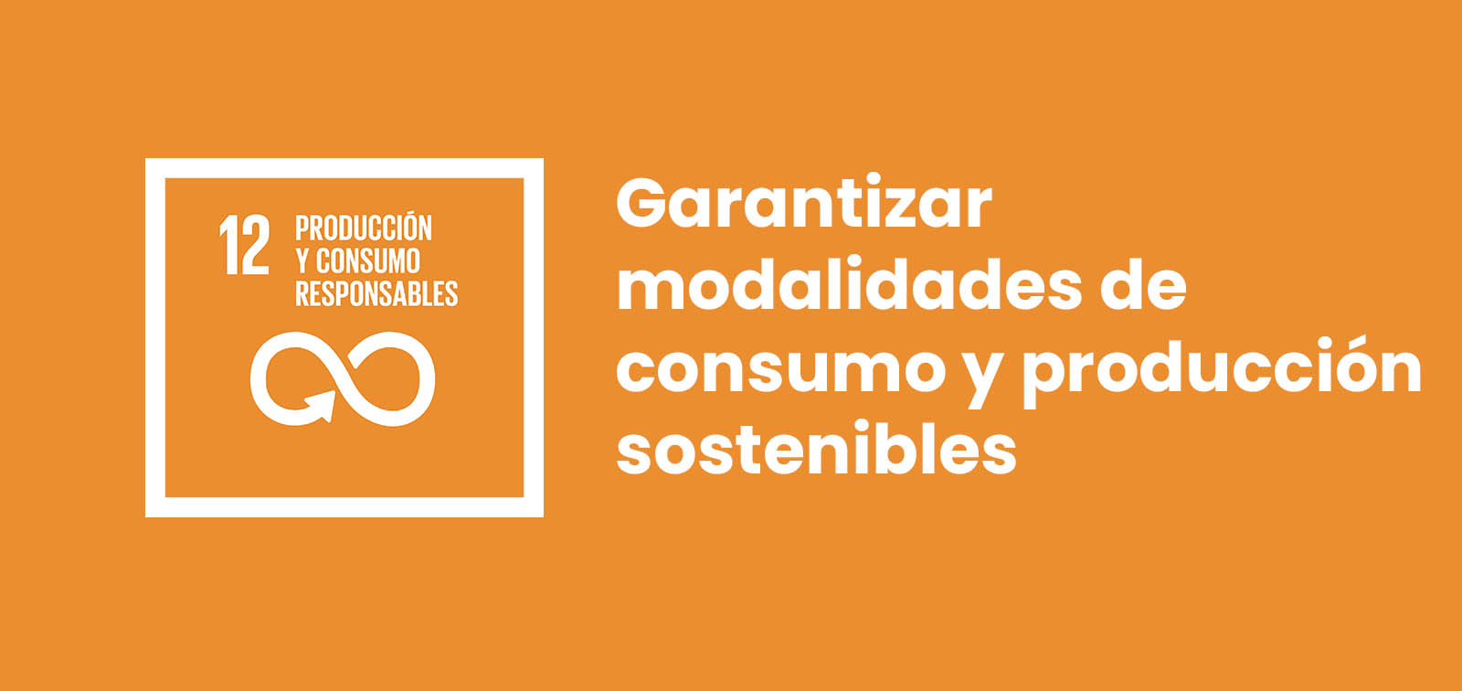 Objetivo 12: Garantizar Modalidades De Consumo Y Producción Sostenibles ...