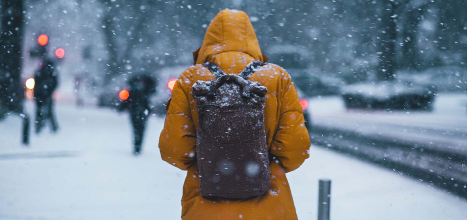 Poder del Frio, El