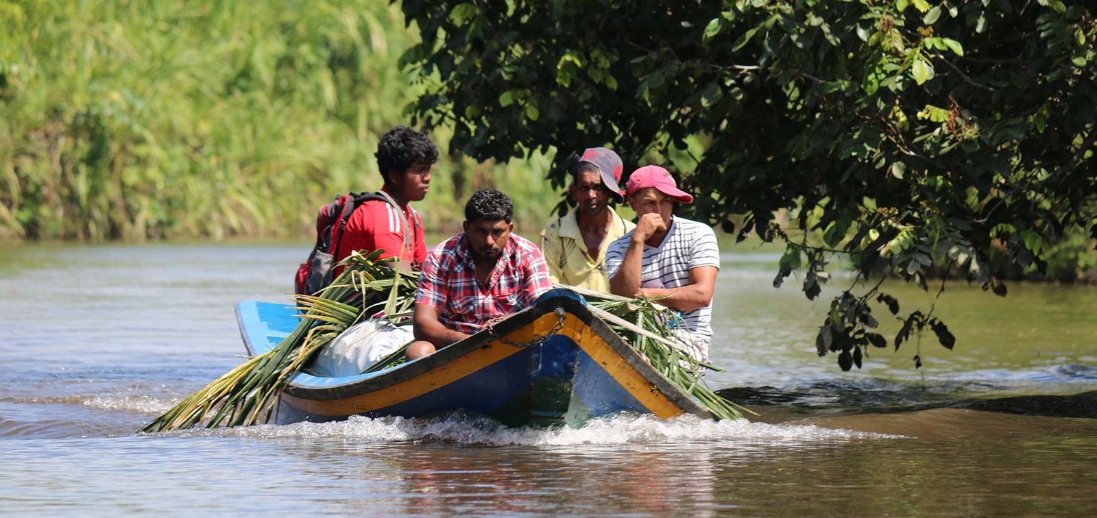 Un estudio en Guyana revela una interacción entre el riesgo percibido y el comportamiento para prevenir enfermedades transmitidas por vector