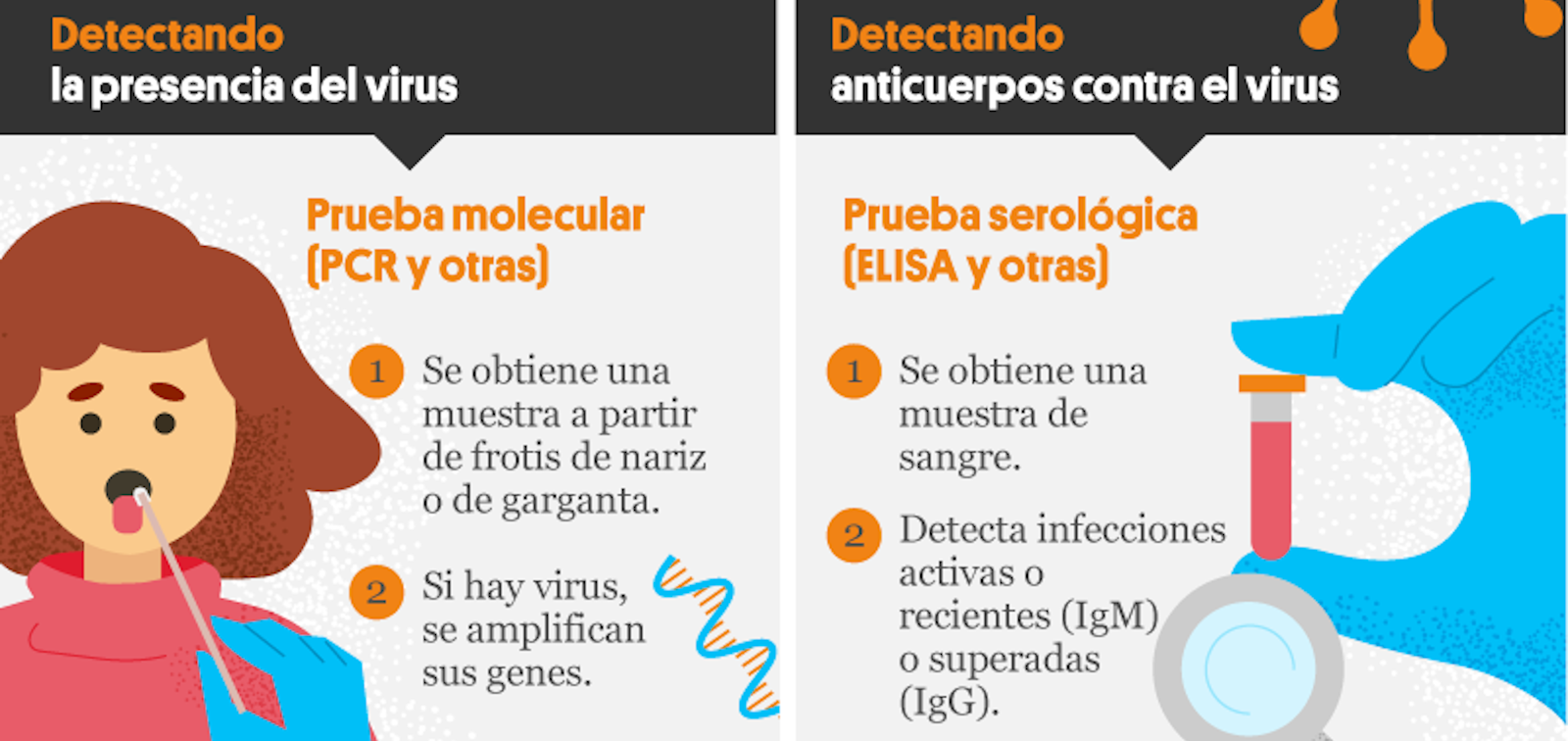 ¿Cómo Funcionan Los Posibles Tratamientos Contra El SARS-CoV-2 ...