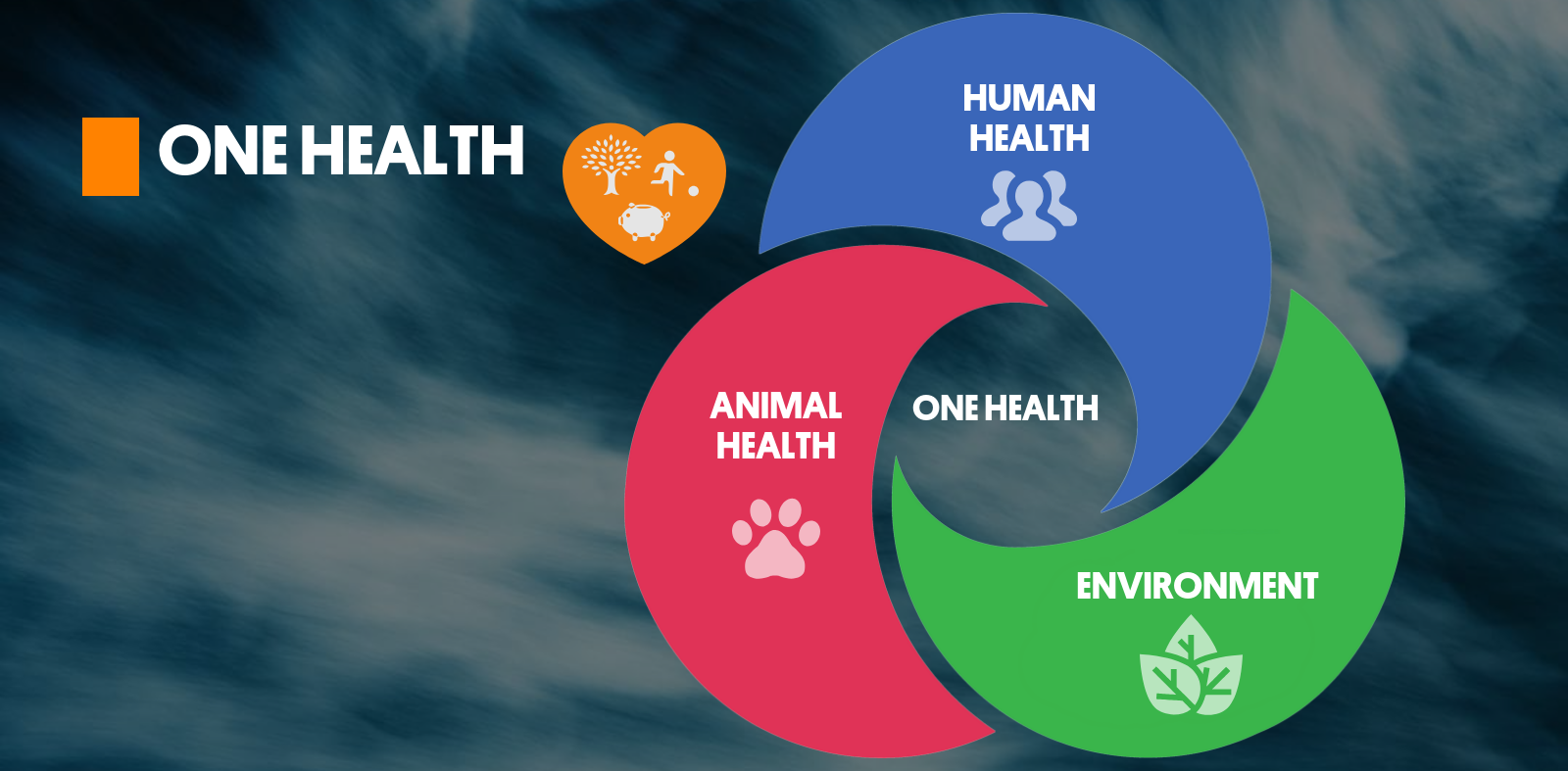 One Health: How to Achieve Optimal Health for People, Animals and Our  Planet - Blog - ISGLOBAL