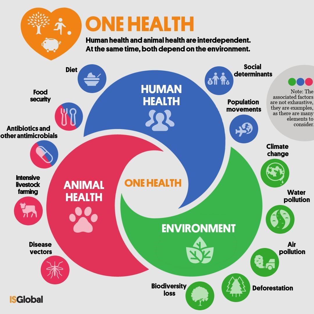 One Health: How To Achieve Optimal Health For People, Animals And Our ...