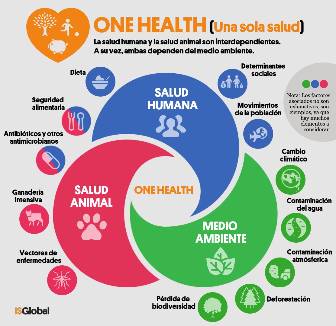 One Health (una sola salud) o cómo lograr a la vez una salud óptima para  las personas, los animales y nuestro planeta - Blog - ISGLOBAL