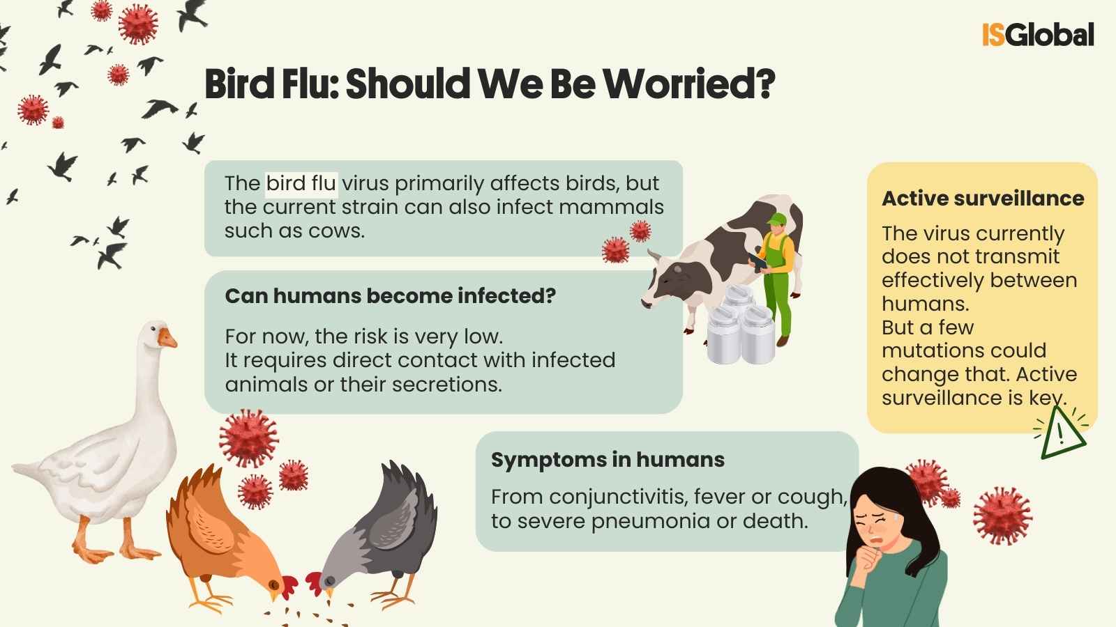 Avian Influenza ENG.png